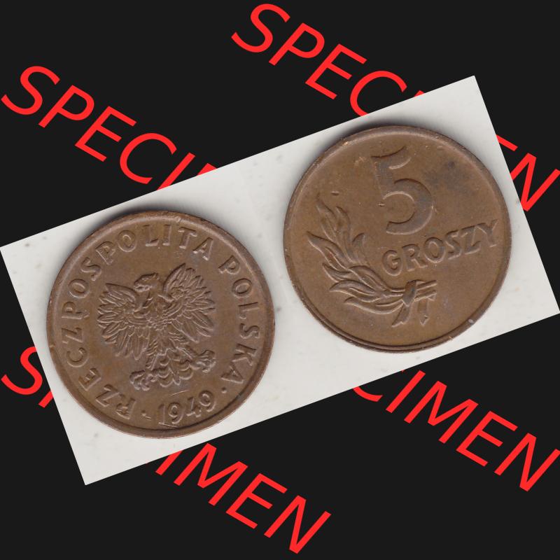 Münzen Polen KMS, Kursmünzensatz 1949-1949, Republik Polen 5 Groszy, Groschen, Bronze 1949-1. Vorderseite und Rückseite horizontal mit Wert-Zahl / Wert-Angabe... Sammlung