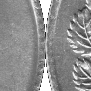 Ausschnitt zur Qualitätsprüfung vom Digitalen Bild Qualität