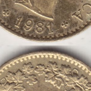 Ausschnitt zur Qualitätsprüfung vom Digitalen Bild Qualität