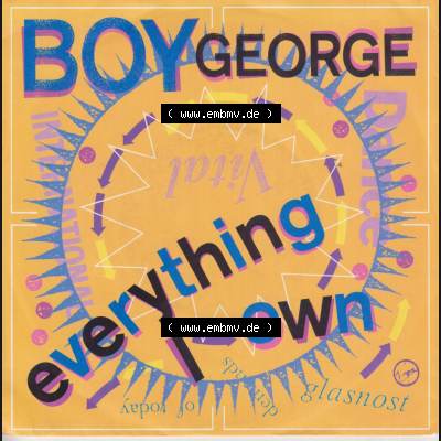 GBR, House (Singles) Virgin 1987, Boy George mit Everything I Own und Use Me. Vinyl-Schallplatten hier im online Katalog als Bildmaterial hochladen. Katalogisiere und... Sammlung