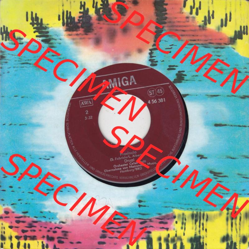 Amiga Schallplatten: Amiga 1978, Drupi mit Piccola E Fragile und Provincia. Rückseite der Schallplatte aus privater Sammlung, verwalte deine Schallplatten-Sammlung durch einfachen... Sammlung