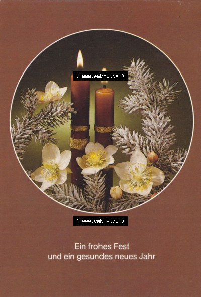Ansichtskarte zu Weihnachten Ein Fohes Fest und ein gesundes neues Jahr (2) Sammlung