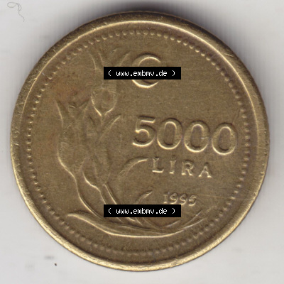 Münzen Türkei / Türkiye Eurovorläufer, Umlaufmünze vor Euroeinführung 1995-1998, 5000 Lira - Lire (1) Sammlung