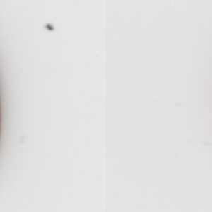 Ausschnitt zur Qualitätsprüfung vom Digitalen Bild Qualität
