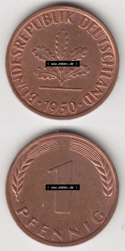 Münzen Deutschland 1 Pfennig-Deutsche Mark 1950-2001, 1 Pfennig 1950 J. Vorderseite und Rückseite in vertikaler Ansicht, einer... Sammlung