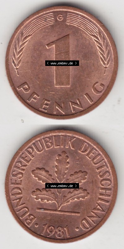 Münzen Deutschland 1 Pfennig-Deutsche Mark 1950-2001, 1 Pfennig 1981 G. Bildmaterial mit Rückseite und Vorderseite in vertikaler... Sammlung