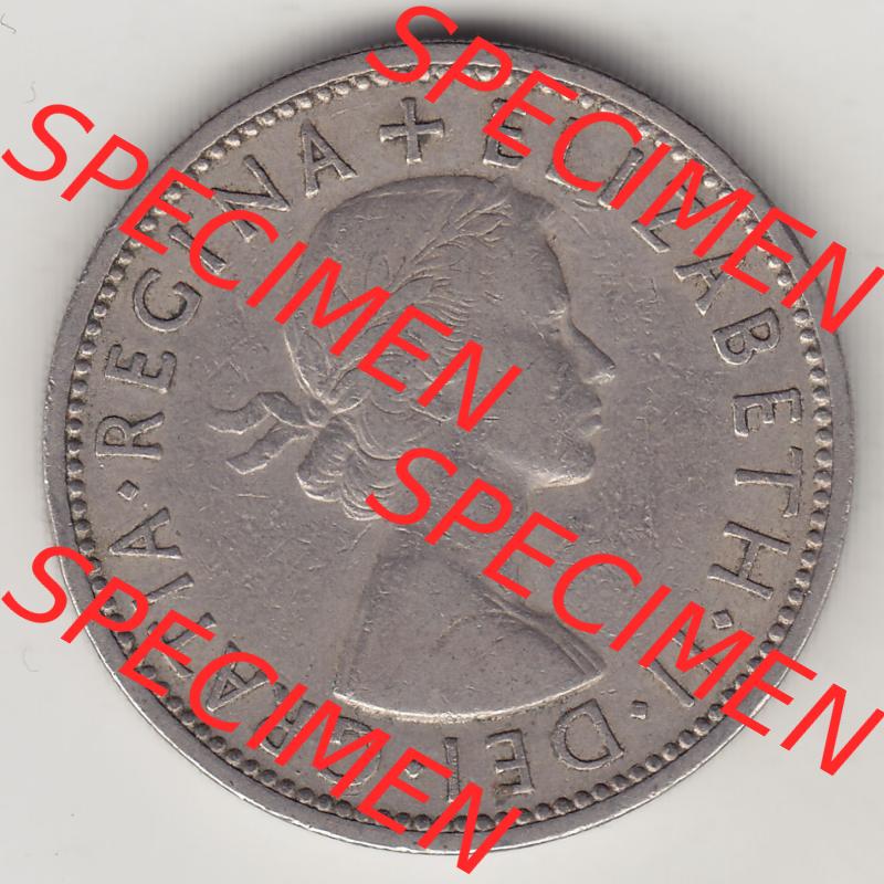 Münzen Großbritannien Eurovorläufer, Umlaufmünze vor Euroeinführung 1954-1970, 2 Schilling - Shillings 1955-1. Vorderseite einer Münze aus Großbritannien... Sammlung