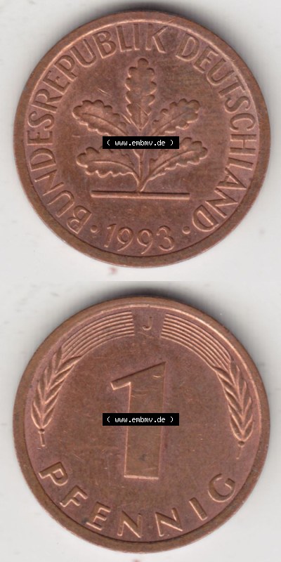 Münzen Deutschland 1 Pfennig-Deutsche Mark 1950-2001, 1 Pfennig 1993 J. Vorderseite und Rückseite in vertikaler Ansicht, einer... Sammlung