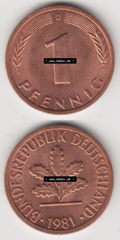 Münzen Deutschland 1 Pfennig-Deutsche Mark 1950-2001, 1 Pfennig 1981 D. Bildmaterial mit Rückseite und Vorderseite in vertikaler... Sammlung