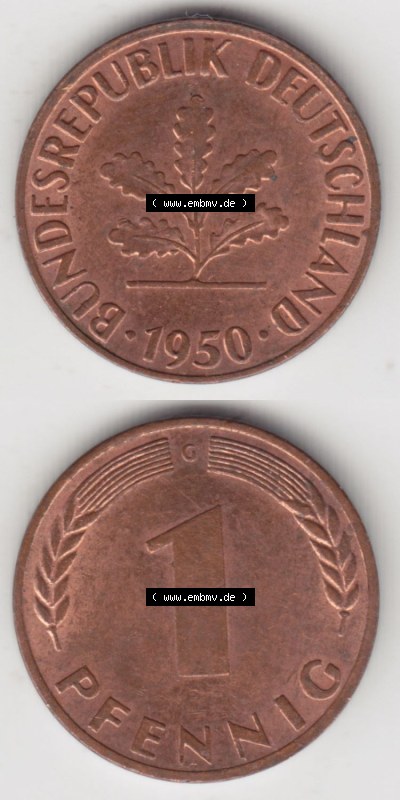 Münzen Deutschland 1 Pfennig-Deutsche Mark 1950-2001, 1 Pfennig 1950 G. Vorderseite und Rückseite in vertikaler Ansicht, einer... Sammlung