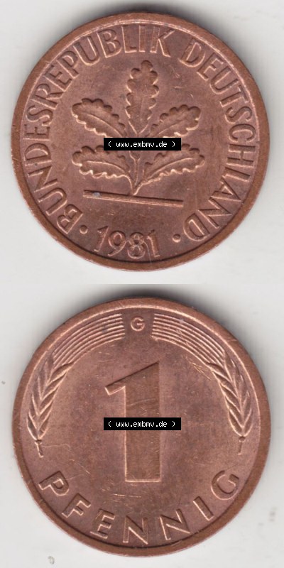 Münzen Deutschland 1 Pfennig-Deutsche Mark 1950-2001, 1 Pfennig 1981 G. Vorderseite und Rückseite in vertikaler Ansicht, einer... Sammlung