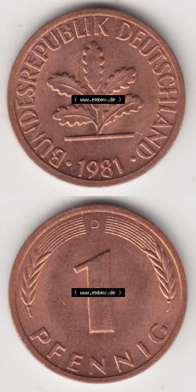 Münzen Deutschland 1 Pfennig-Deutsche Mark 1950-2001, 1 Pfennig 1981 D. Vorderseite und Rückseite in vertikaler Ansicht, einer... Sammlung