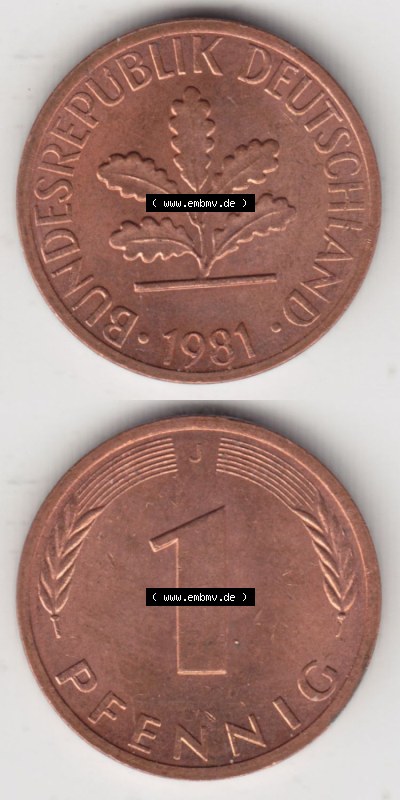Münzen Deutschland 1 Pfennig-Deutsche Mark 1950-2001, 1 Pfennig 1981 J. Vorderseite und Rückseite in vertikaler Ansicht, einer... Sammlung