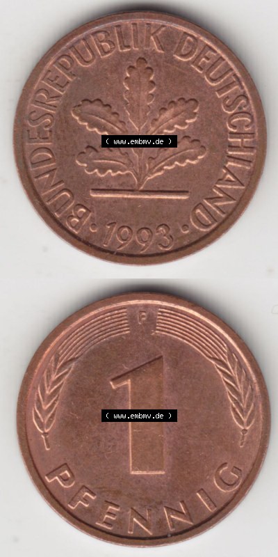 Münzen Deutschland 1 Pfennig-Deutsche Mark 1950-2001, 1 Pfennig 1993 F. Vorderseite und Rückseite in vertikaler Ansicht, einer... Sammlung