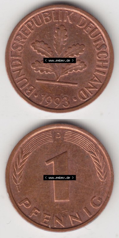 Münzen Deutschland 1 Pfennig-Deutsche Mark 1950-2001, 1 Pfennig 1993 D. Vorderseite und Rückseite in vertikaler Ansicht, einer... Sammlung