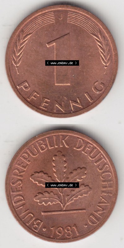 Münzen Deutschland 1 Pfennig-Deutsche Mark 1950-2001, 1 Pfennig 1981 J. Bildmaterial mit Rückseite und Vorderseite in vertikaler... Sammlung