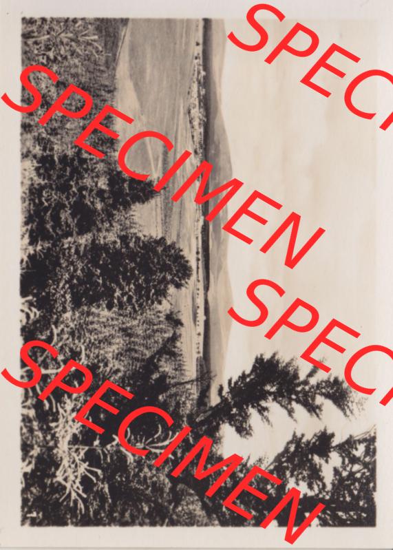 Alte Fotos von Stadt Benneckenstein in Kreis Harz zu DDR-Zeiten, 1. Brockenblick. Alter und echter original Foto-Abzug aus einer Fotomappe, welche zu DDR-Zeiten an Urlauber und... Sammlung