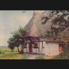 Digitales Bild Zurück