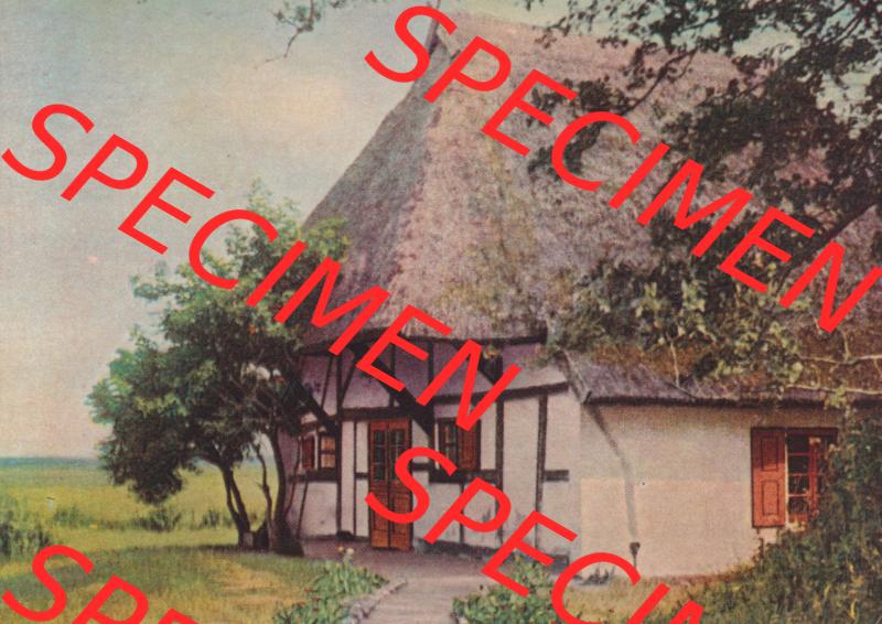 Alte Fotos von Ostseebad Ahrenshoop Lithografien in Mecklenburg-Vorpommern 2. Dornenhaus. Alter und echter original Foto-Abzug aus einer Fotomappe, welche zu DDR-Zeiten an Urlauber... Sammlung