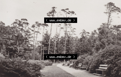 Alte Fotos von Ostseebad Graal-Müritz in Mecklenburg-Vorpommern 1975, Im Rhododenendronpark. Alter und echter original Foto-Abzug... Sammlung