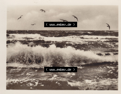 Alte Fotos von Seebad Heringsdorf in Mecklenburg-Vorpommern Wellenzauber. Alter und echter original Foto-Abzug aus einer Fotomappe,... Sammlung
