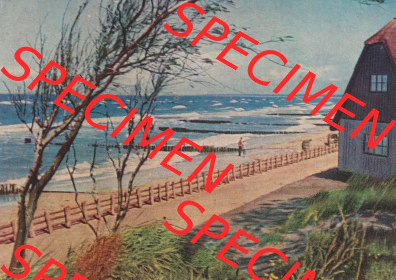 Alte Fotos von Ostseebad Ahrenshoop Lithografien in Mecklenburg-Vorpommern 4. Haus am Strand. Alter und echter original Foto-Abzug aus einer Fotomappe, welche zu DDR-Zeiten an Urlauber... Sammlung
