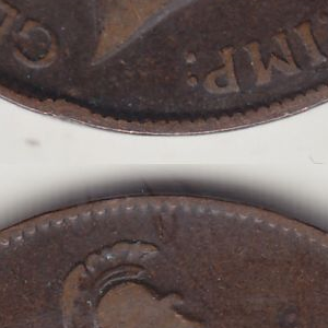 Ausschnitt zur Qualitätsprüfung vom Digitalen Bild Qualität